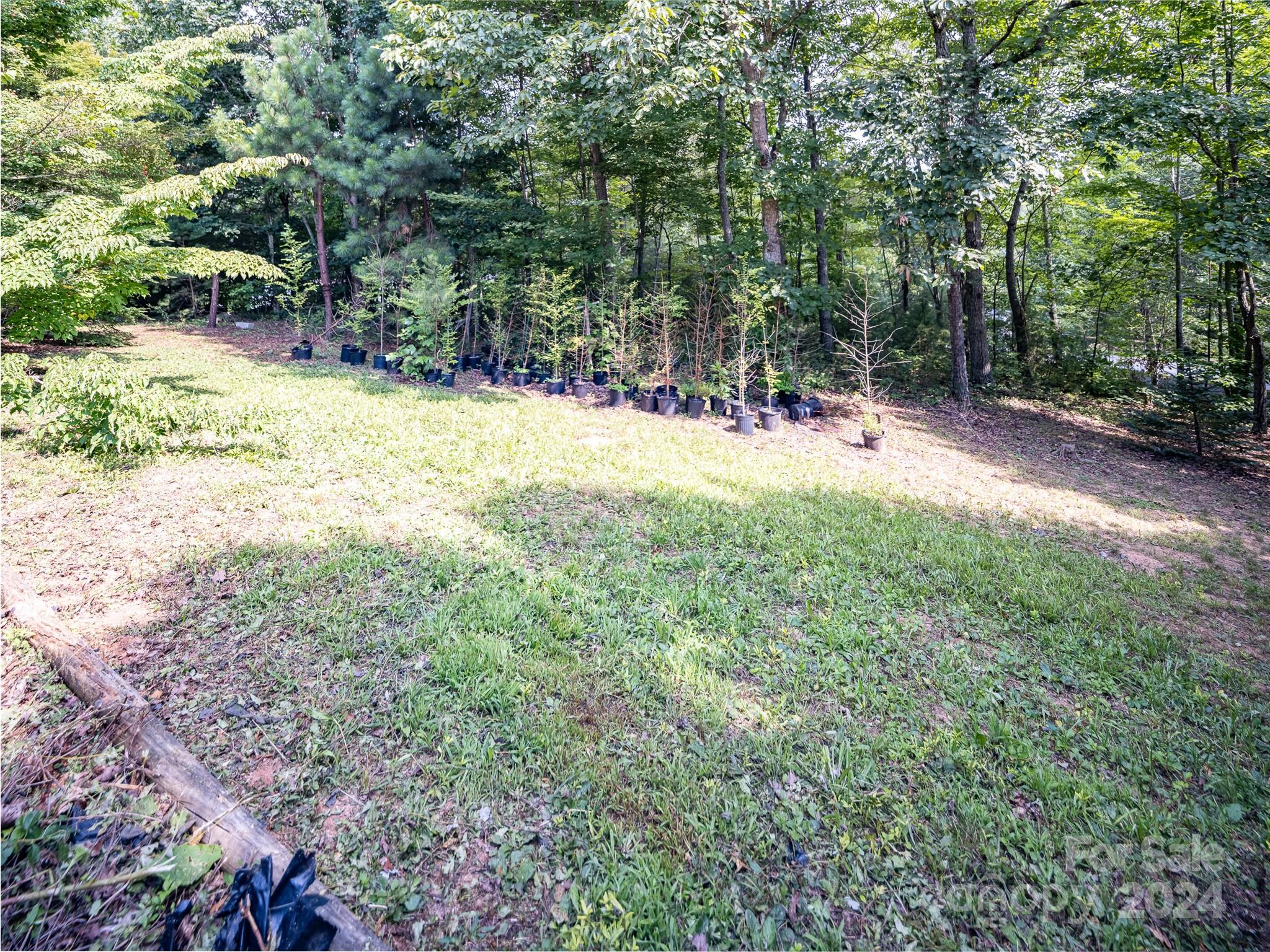 115 Sleepy Forest Drive Leicester NC 28748