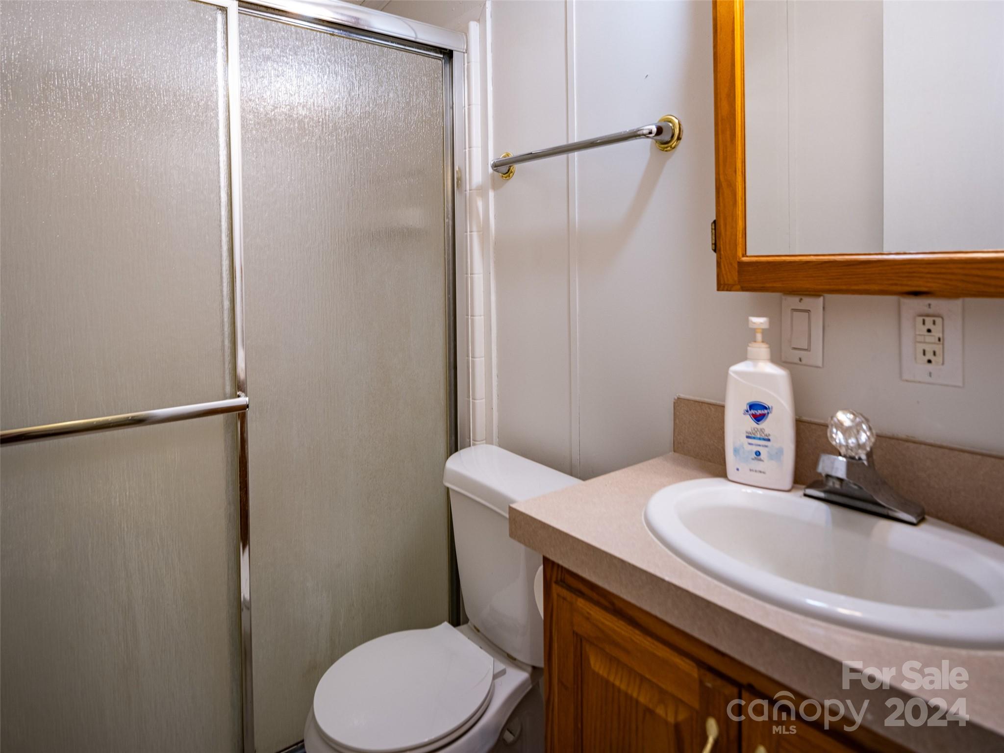 115 Sleepy Forest Drive Leicester NC 28748