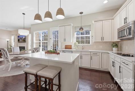 1210 Gold Rush Court Fort Mill SC 29708