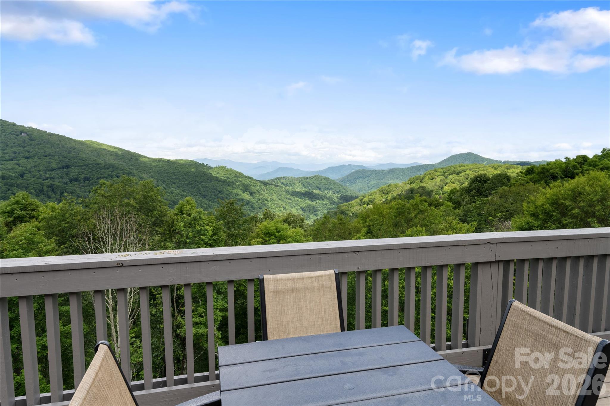 205 Chestnut Village Mars Hill NC 28754