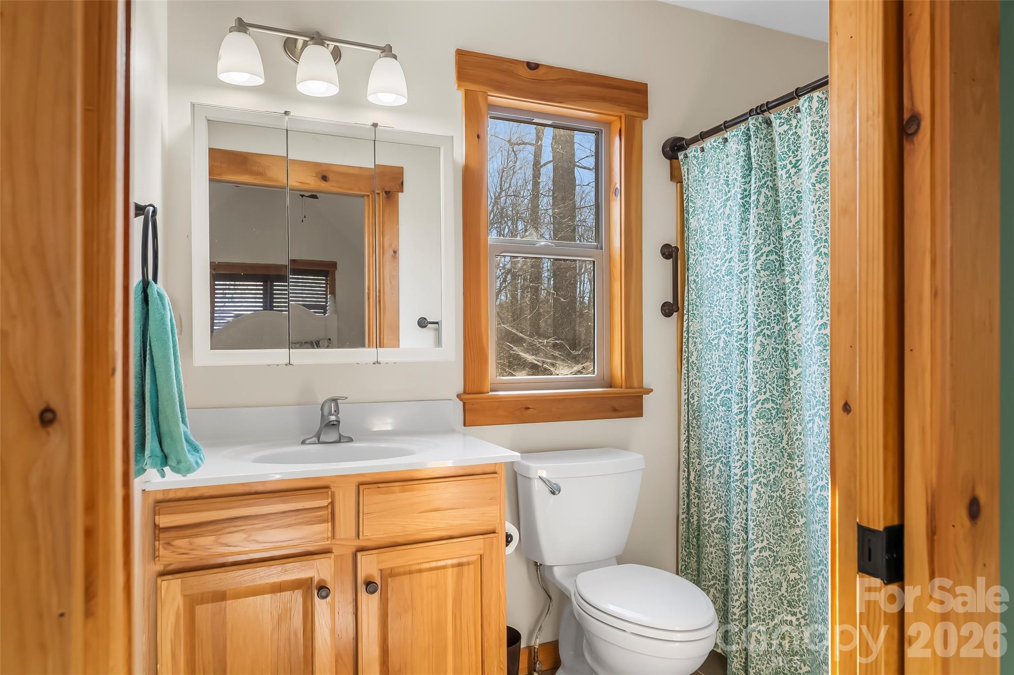 204 Mountain Vista Drive Nebo NC 28761