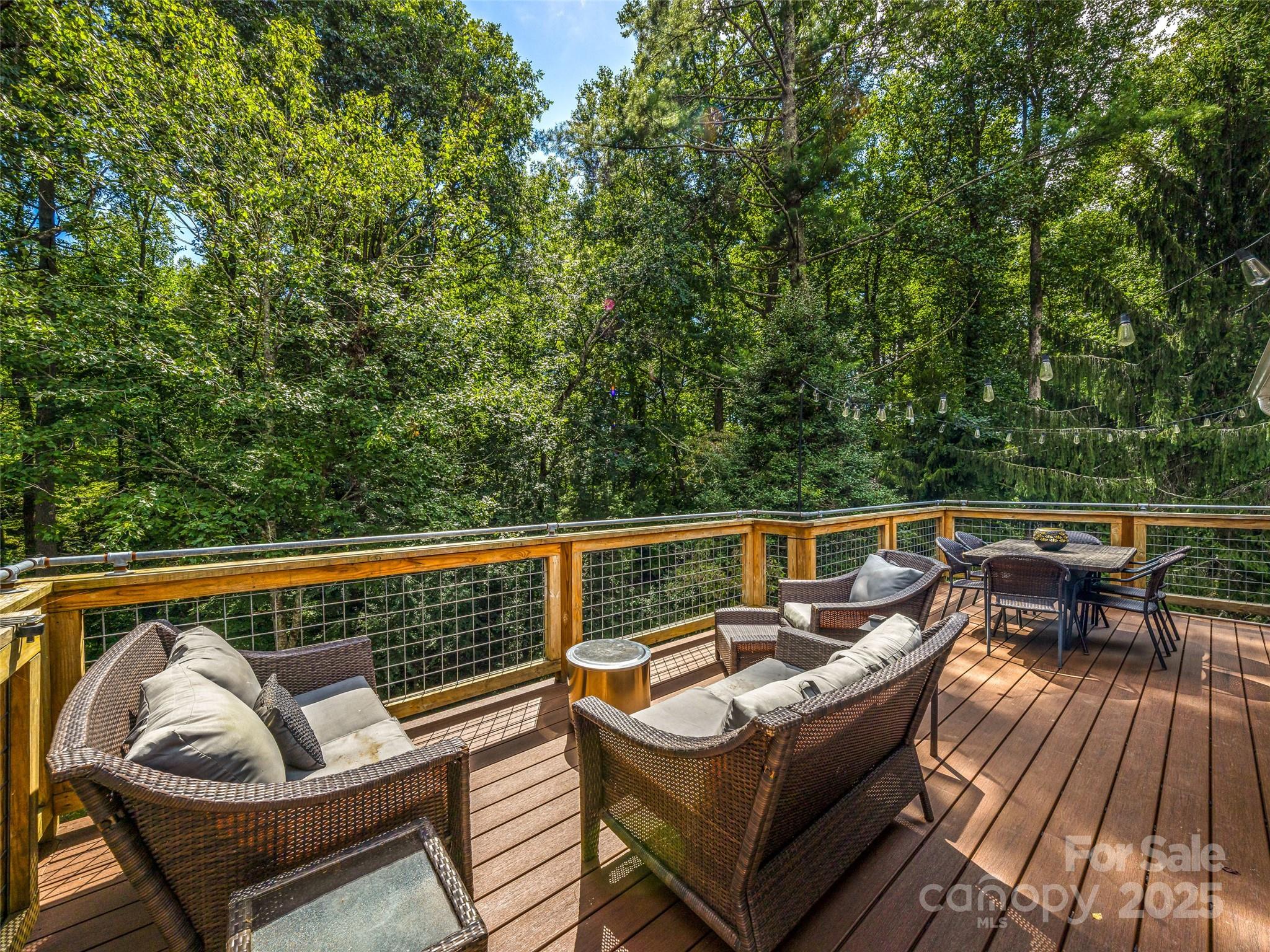 135 Dogwood Drive Brevard NC 28712