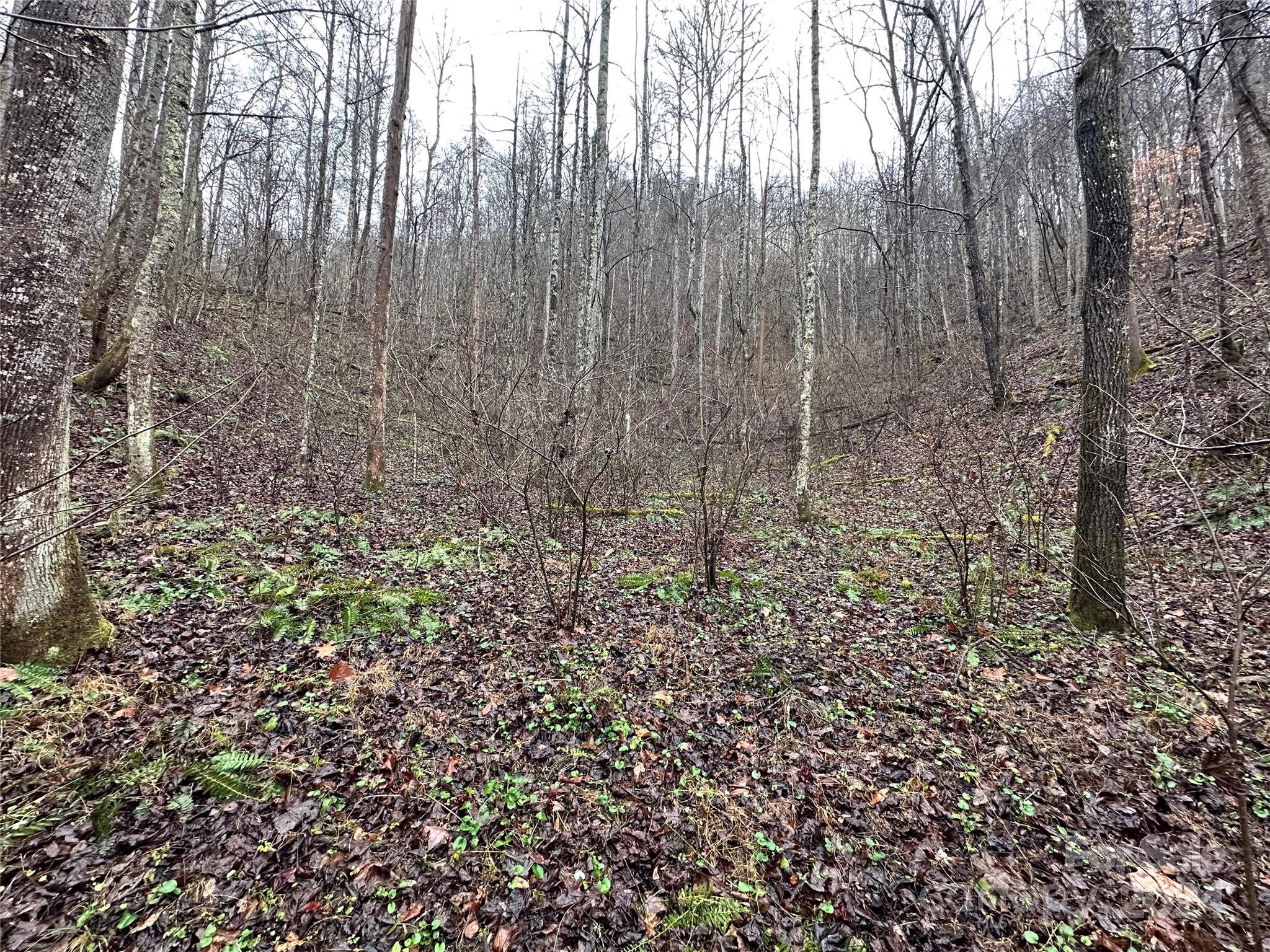 320 Board Tree Road Marshall NC 28753