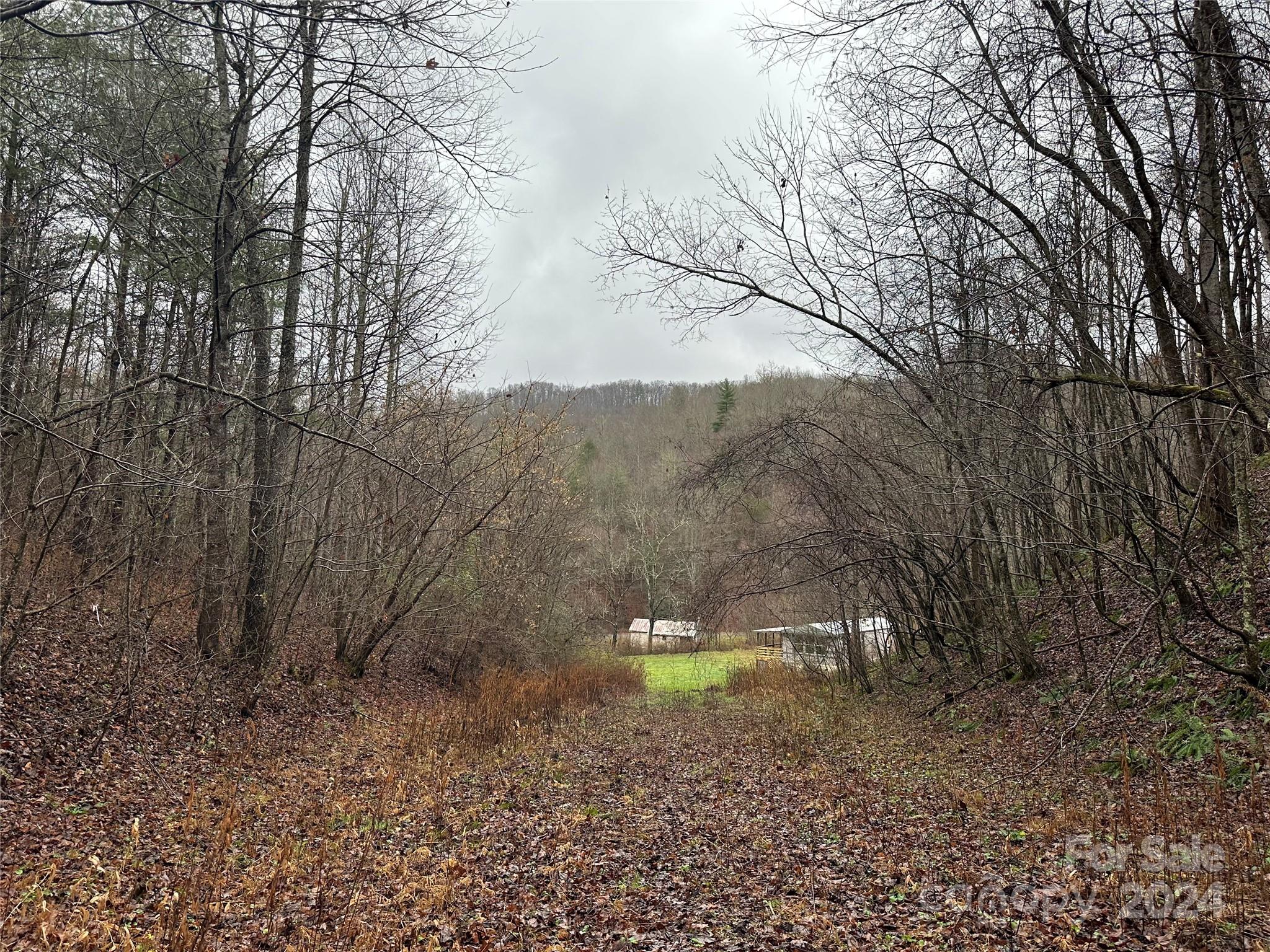 320 Board Tree Road Marshall NC 28753