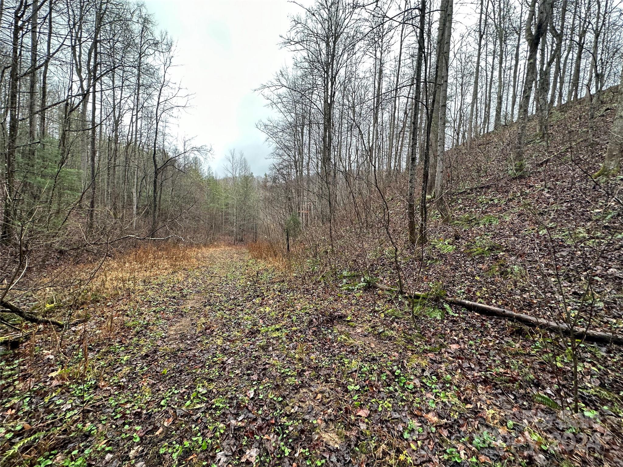 320 Board Tree Road Marshall NC 28753