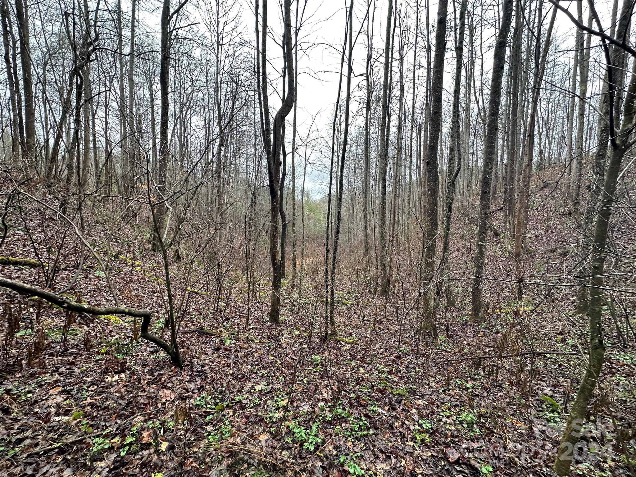 320 Board Tree Road Marshall NC 28753