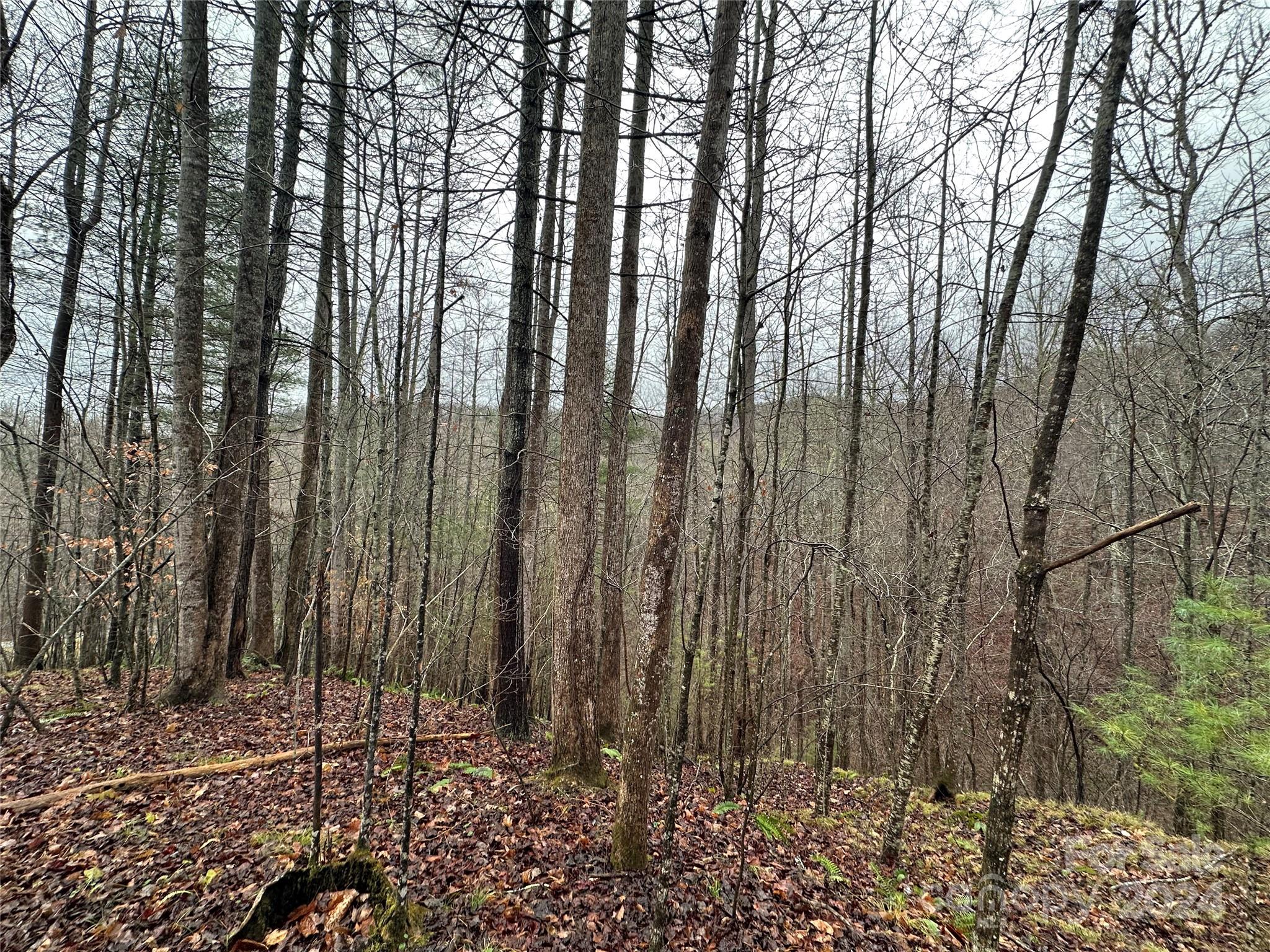 320 Board Tree Road Marshall NC 28753