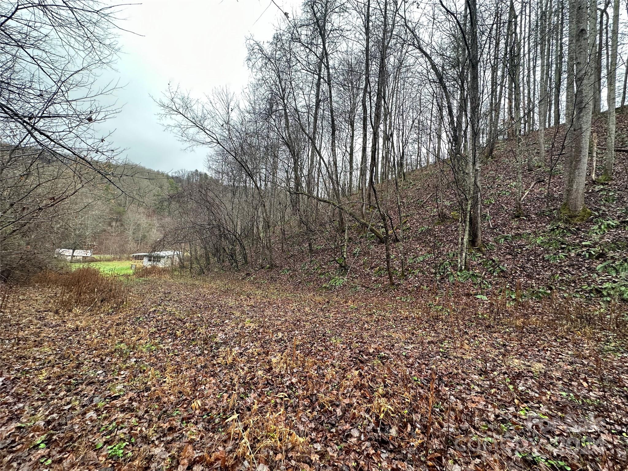 320 Board Tree Road Marshall NC 28753