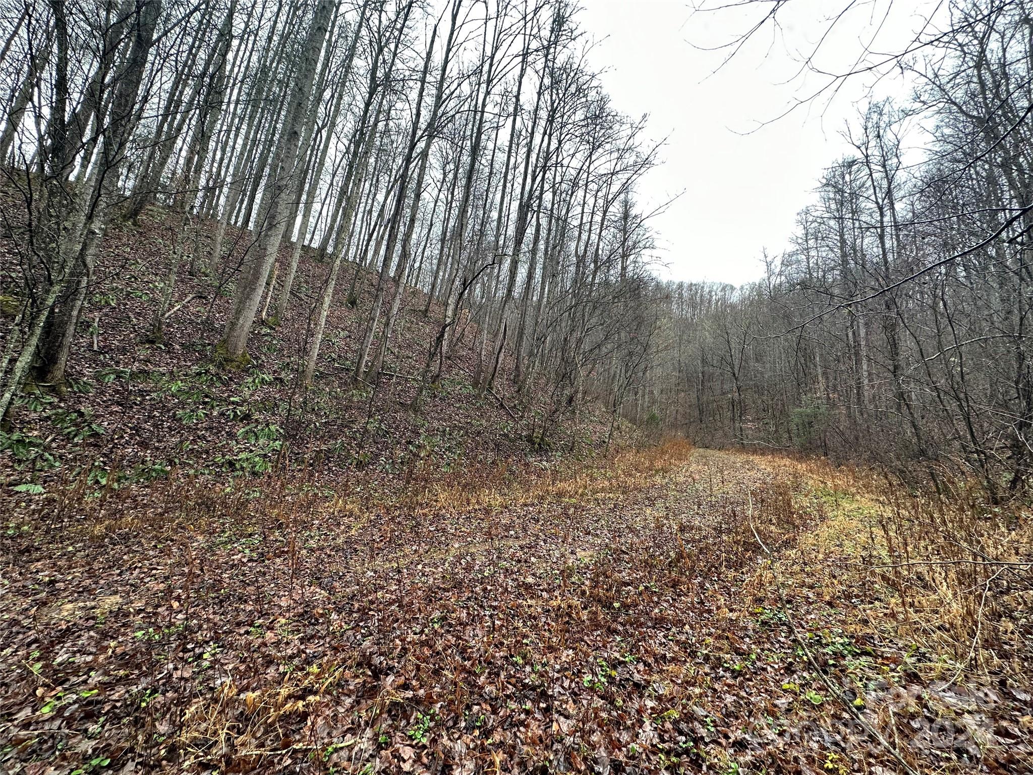 320 Board Tree Road Marshall NC 28753