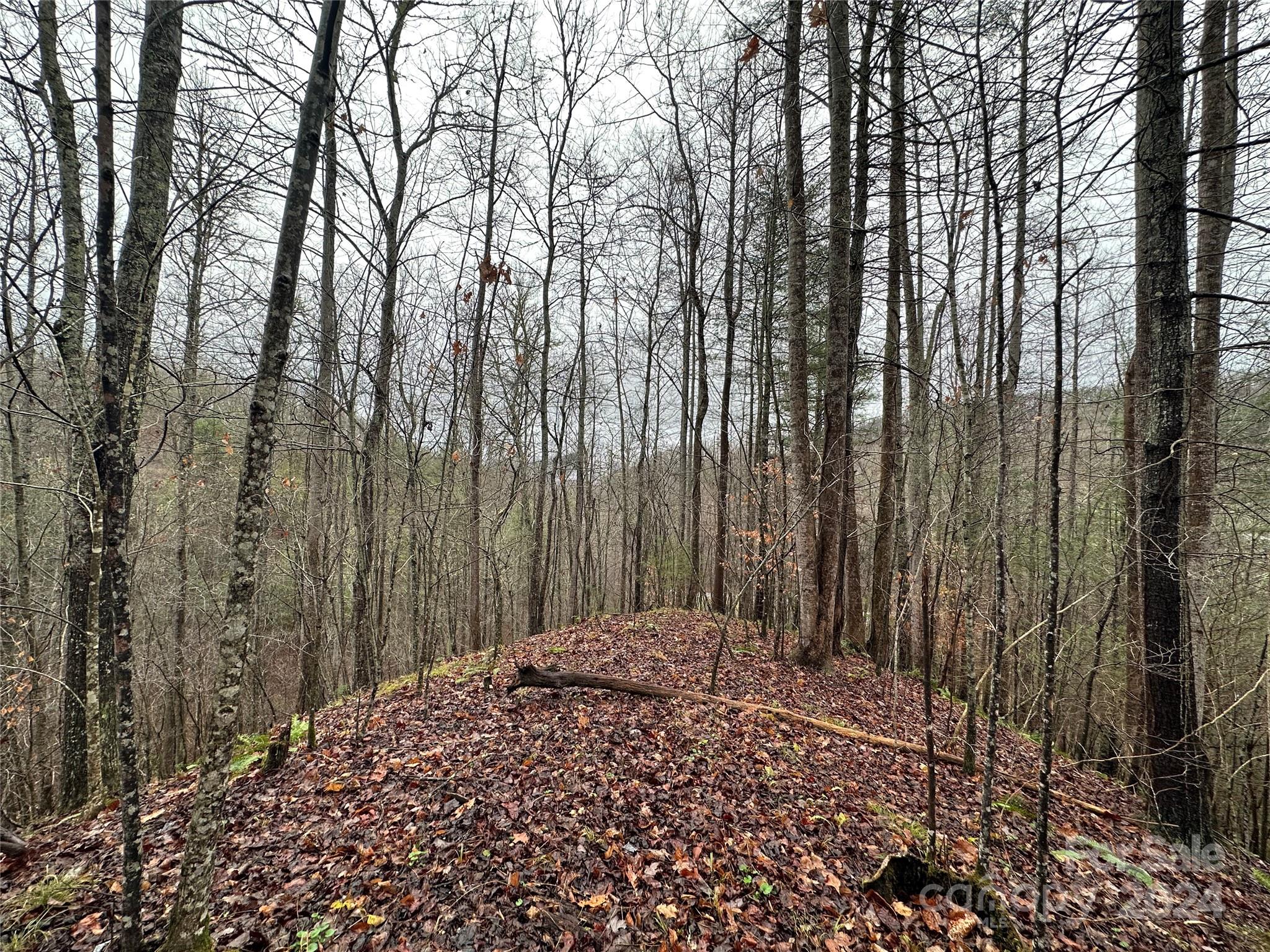 320 Board Tree Road Marshall NC 28753
