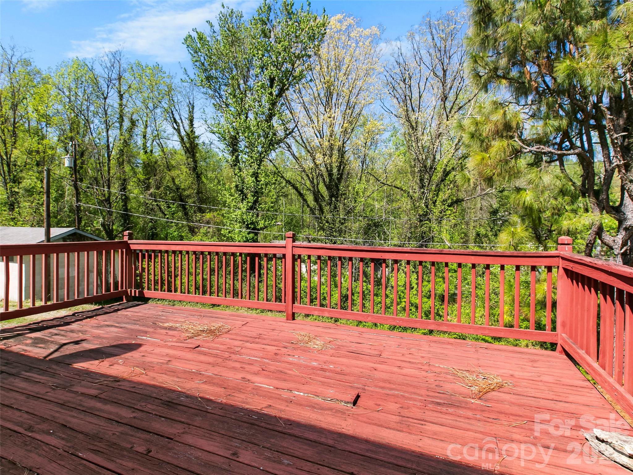 203 Dundee Street Hendersonville NC 28791