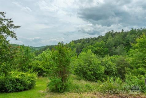 114 Kuykendall Road Alexander NC 28701