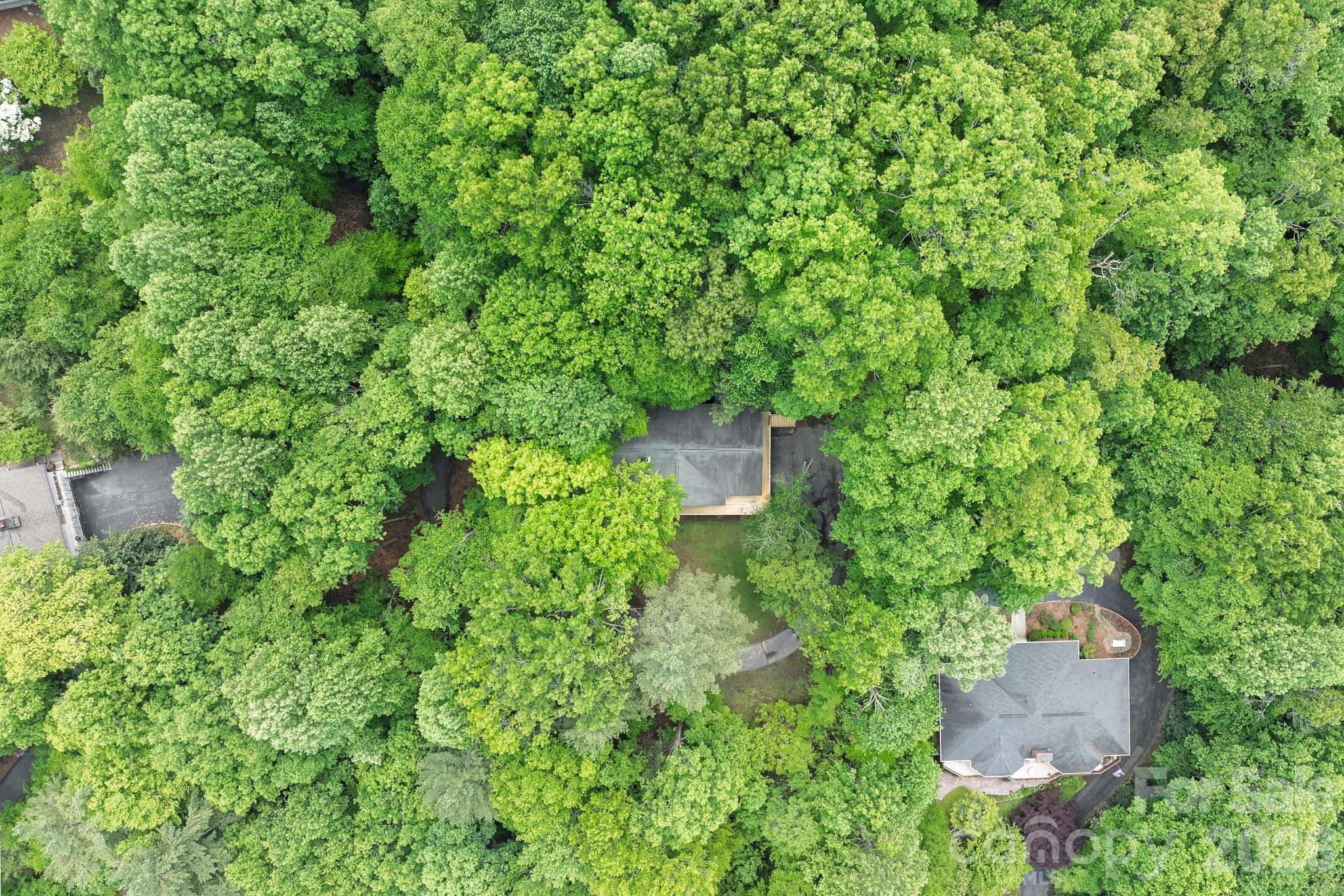 1360 Glen Cannon Drive Pisgah Forest NC 28768