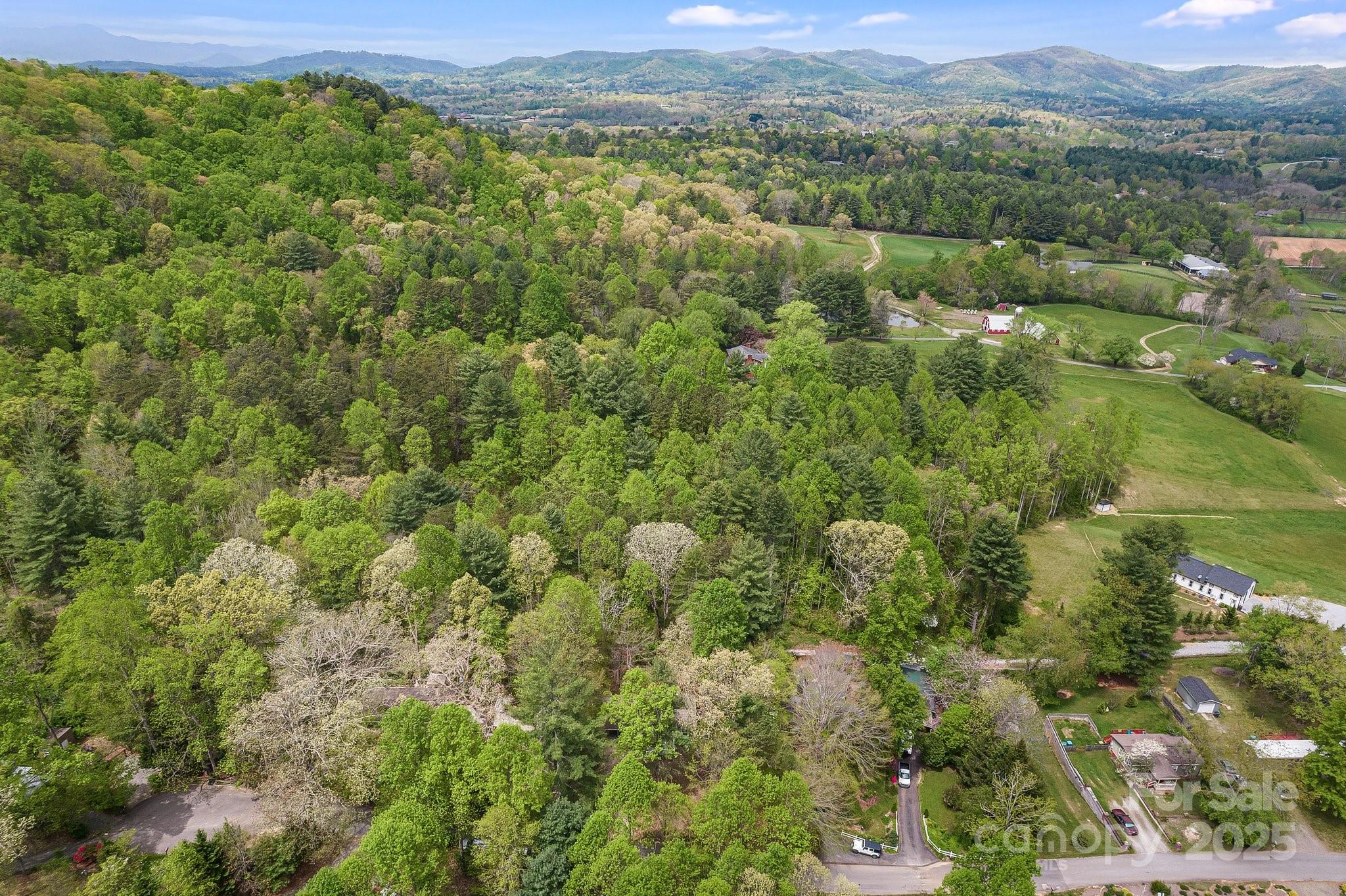 20 Timbers Edge Lane Fairview NC 28730