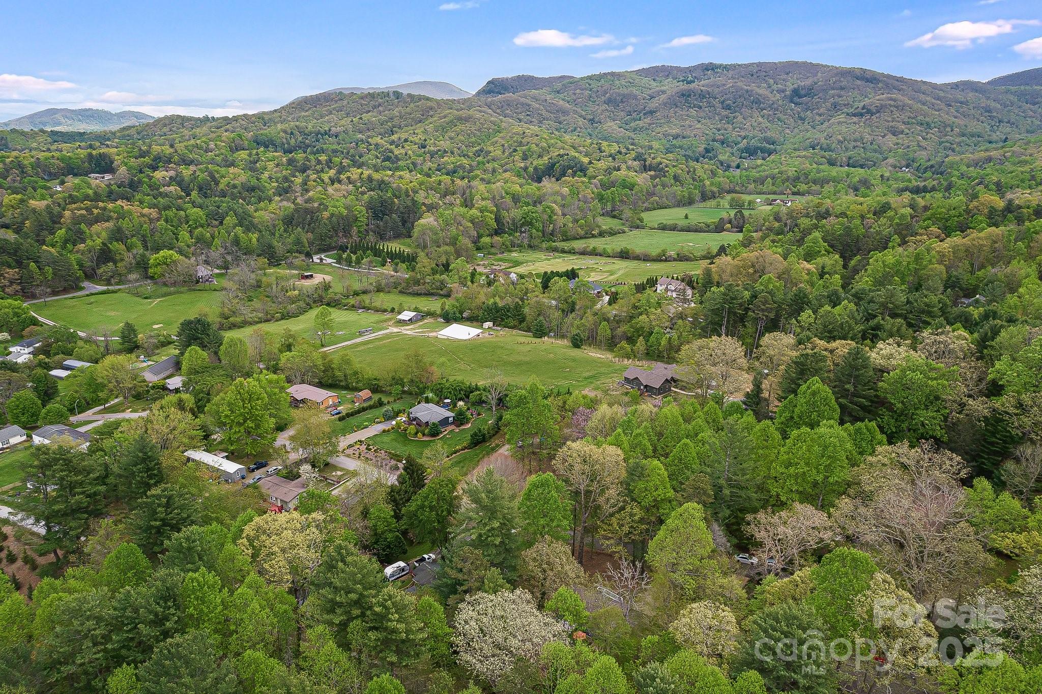 20 Timbers Edge Lane Fairview NC 28730