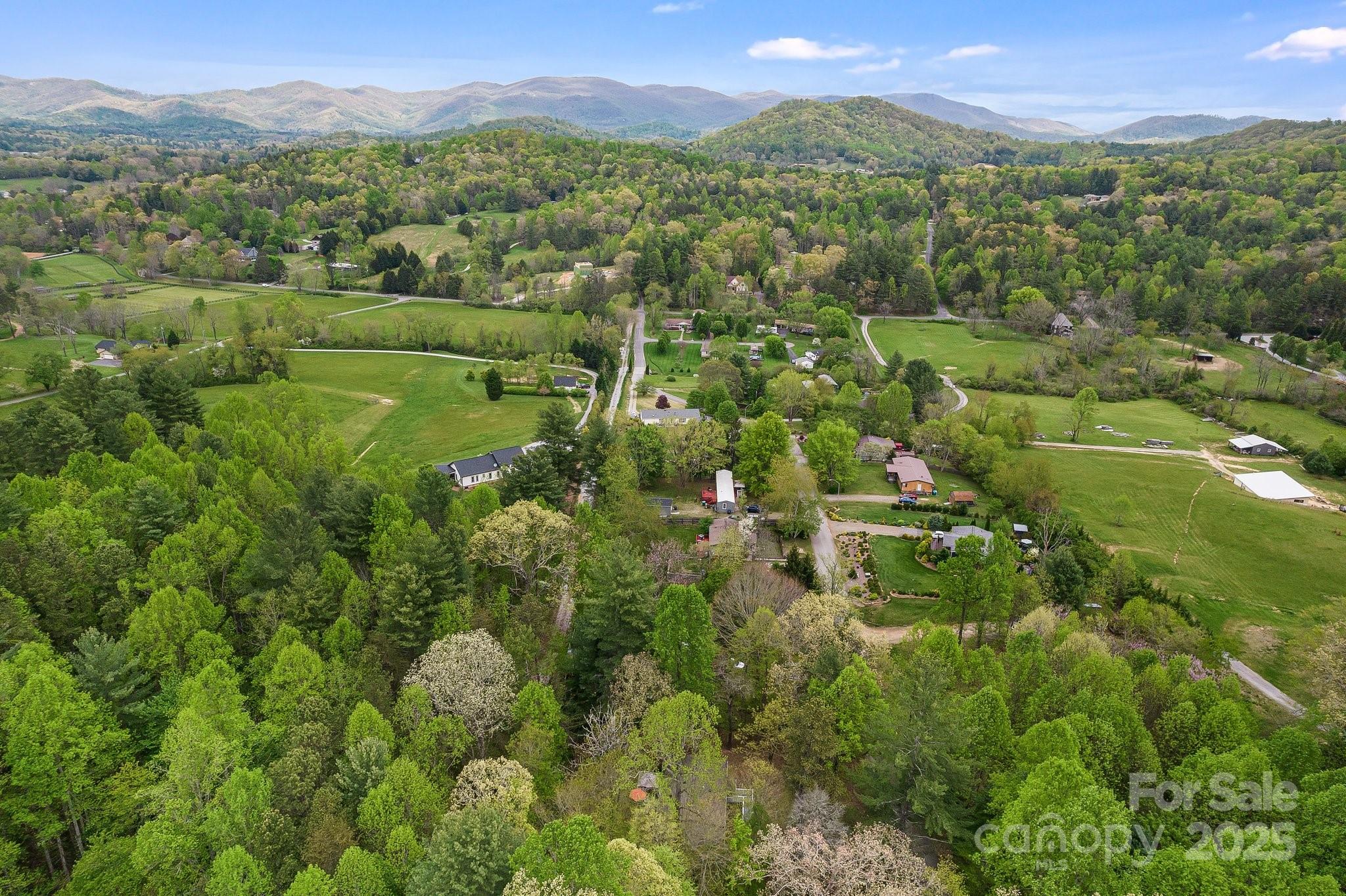 20 Timbers Edge Lane Fairview NC 28730