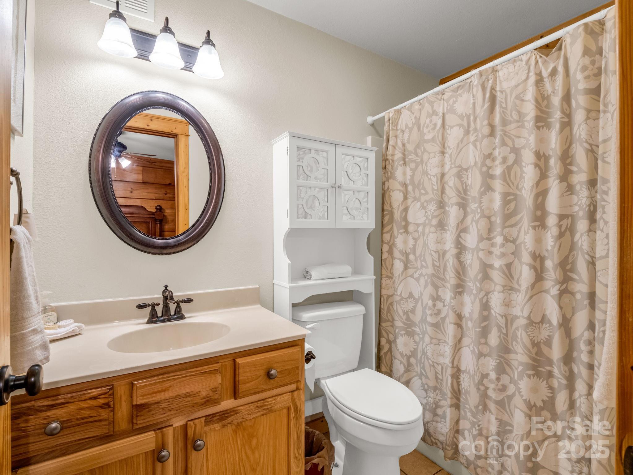 161 Scenic Wolf Drive Mars Hill NC 28754