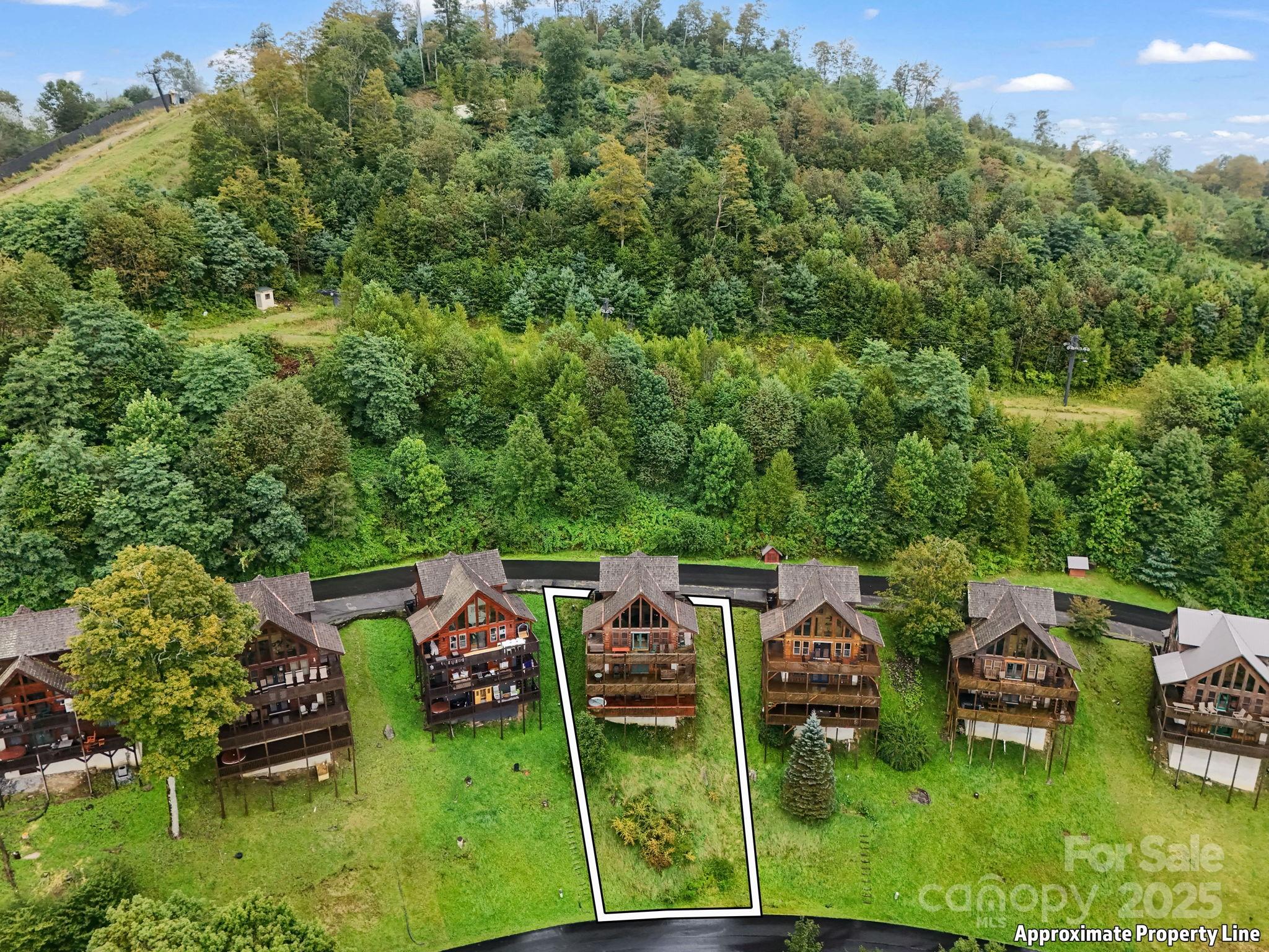 161 Scenic Wolf Drive Mars Hill NC 28754