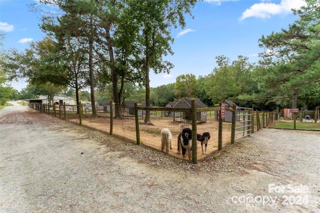 10560 Lake Royalle Road Spring Hope NC 27882