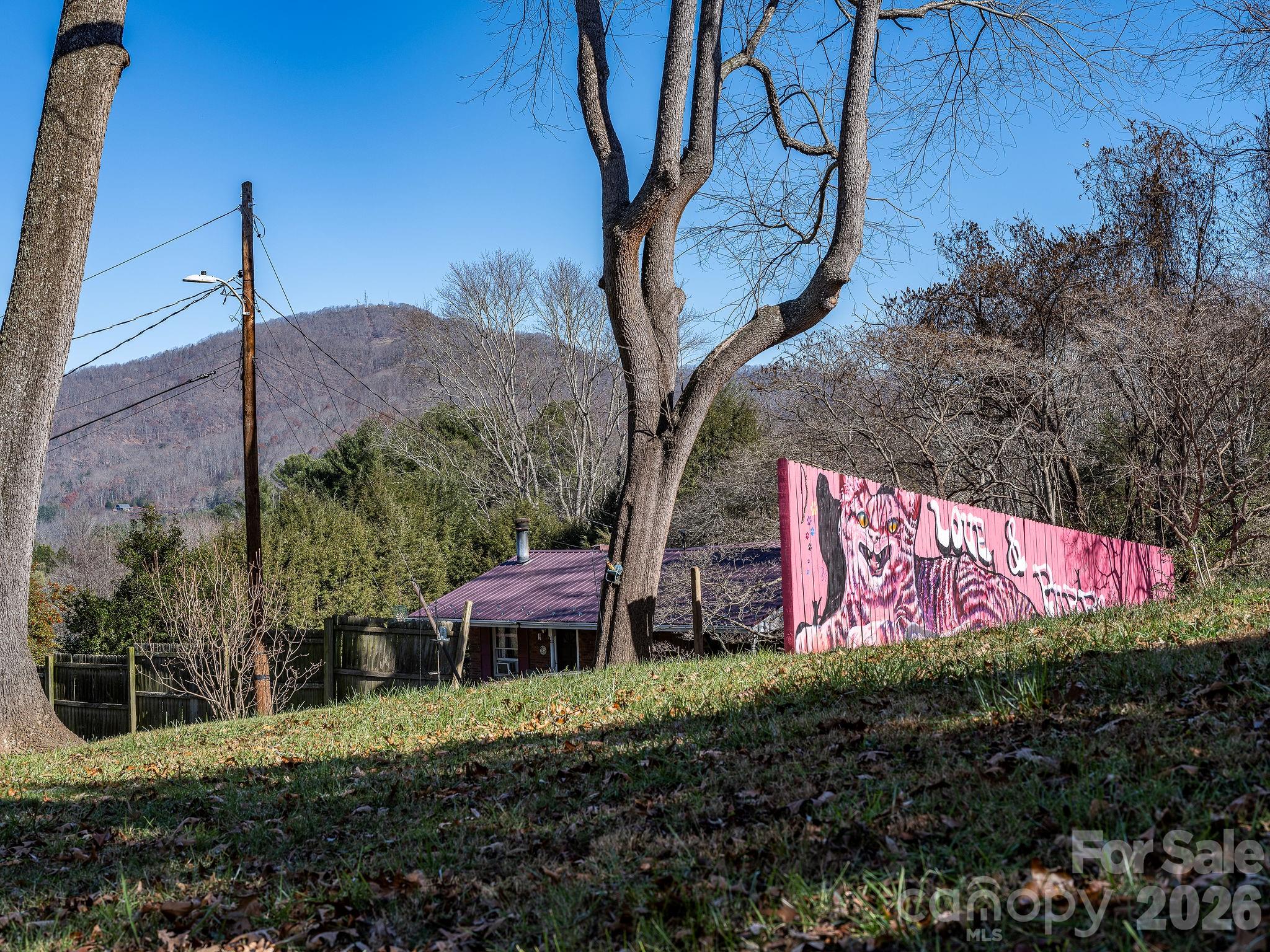 107 Woodland Church Road Clyde NC 28721