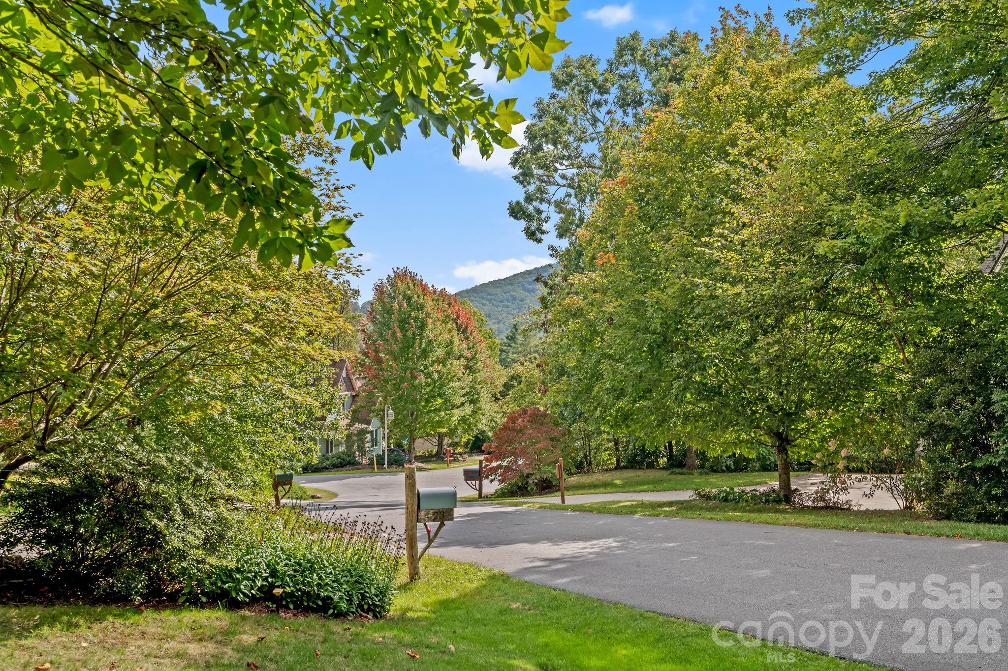 25 E Owl Creek Lane Fairview NC 28730