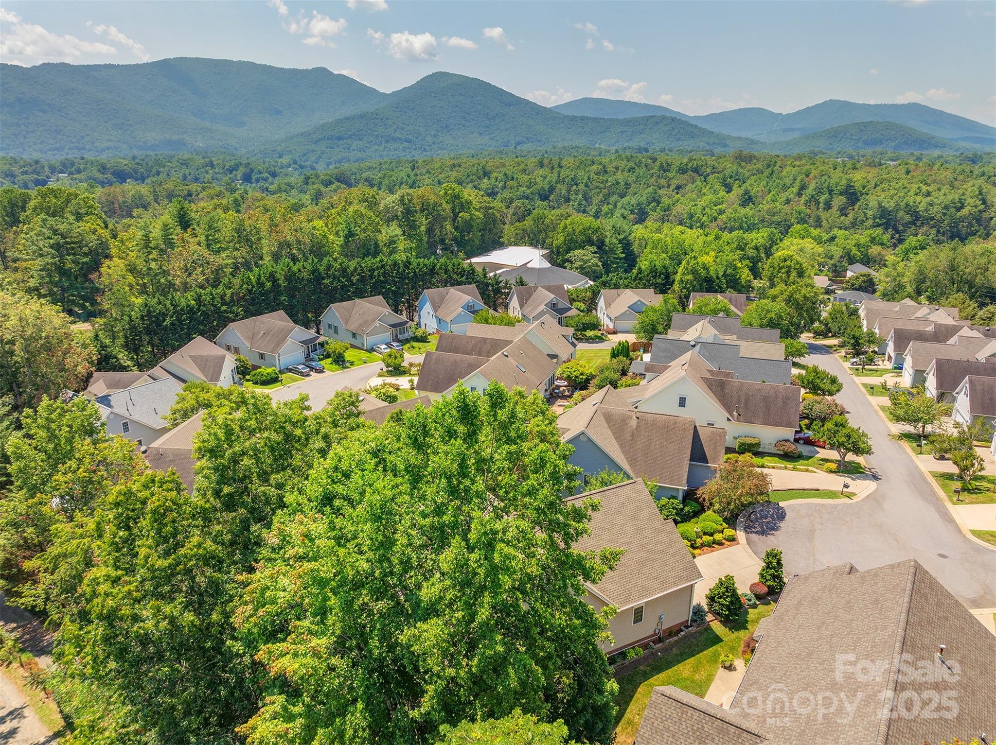 25 Flowering Cherry Drive Asheville NC 28805