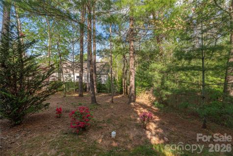 22 Sparkle Dun Drive Biltmore Lake NC 28715