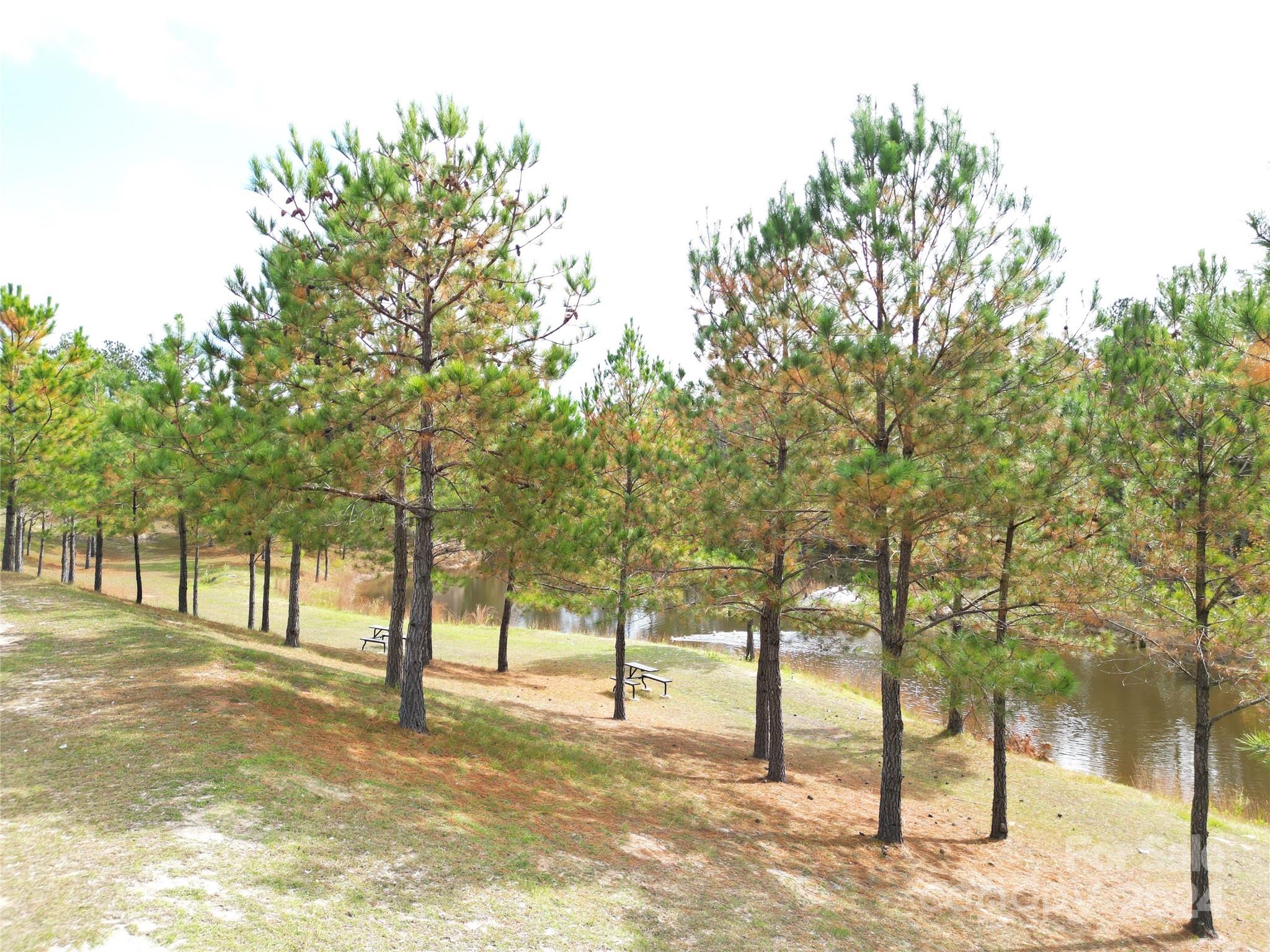 2034 Haileys Ferry Road Lilesville NC 28091