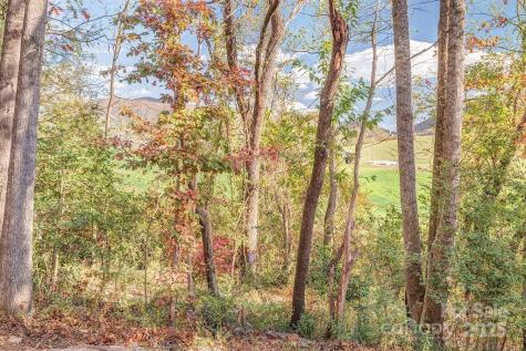 15 Edmond Woods Place Fairview NC 28730
