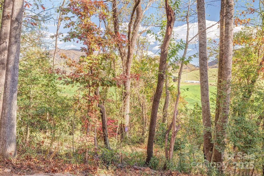 15 Edmond Woods Place Fairview NC 28730