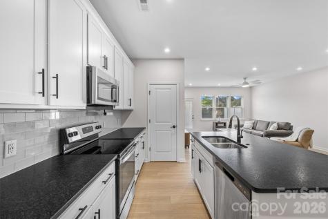 217 Brooks Springs Drive Fort Mill SC 29708