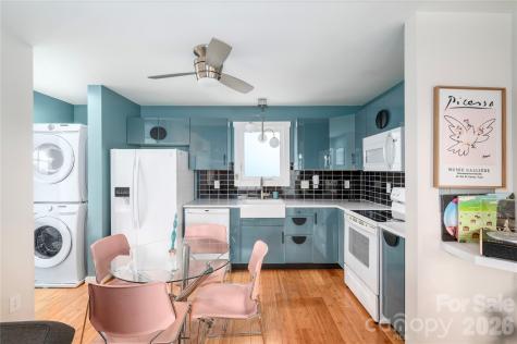 47 Mulberry Street Asheville NC 28804