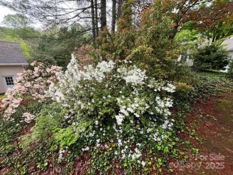 54 Wintergreen Drive Brevard NC 28712