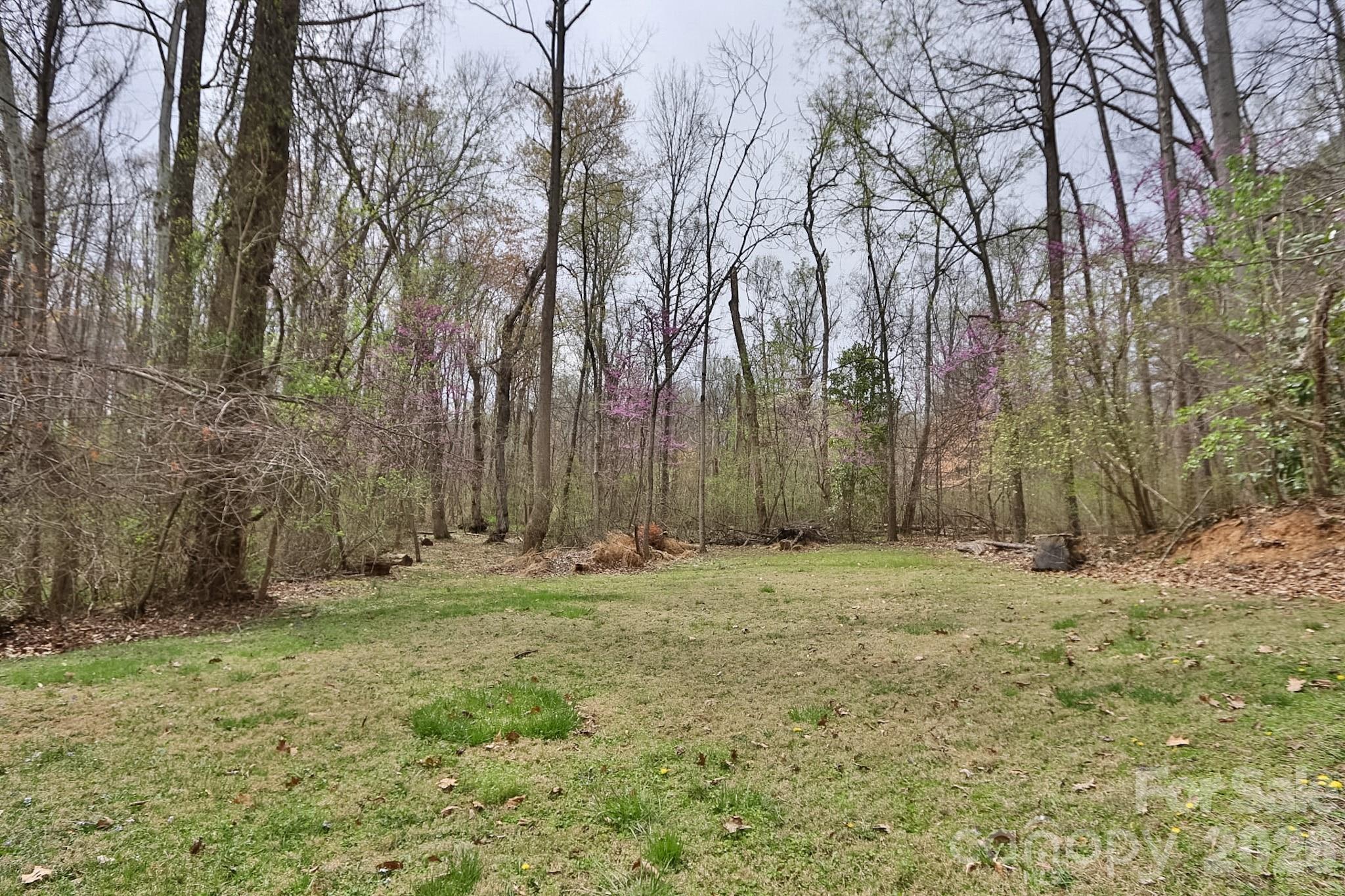 419 Cypress Drive Reidsville NC 27320