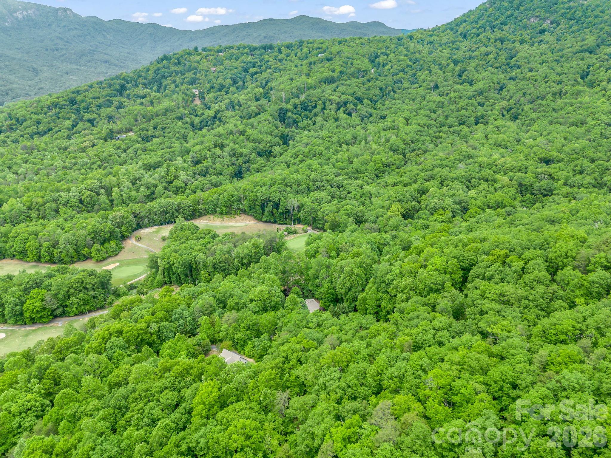 425 Winesap Boulevard Lake Lure NC 28746