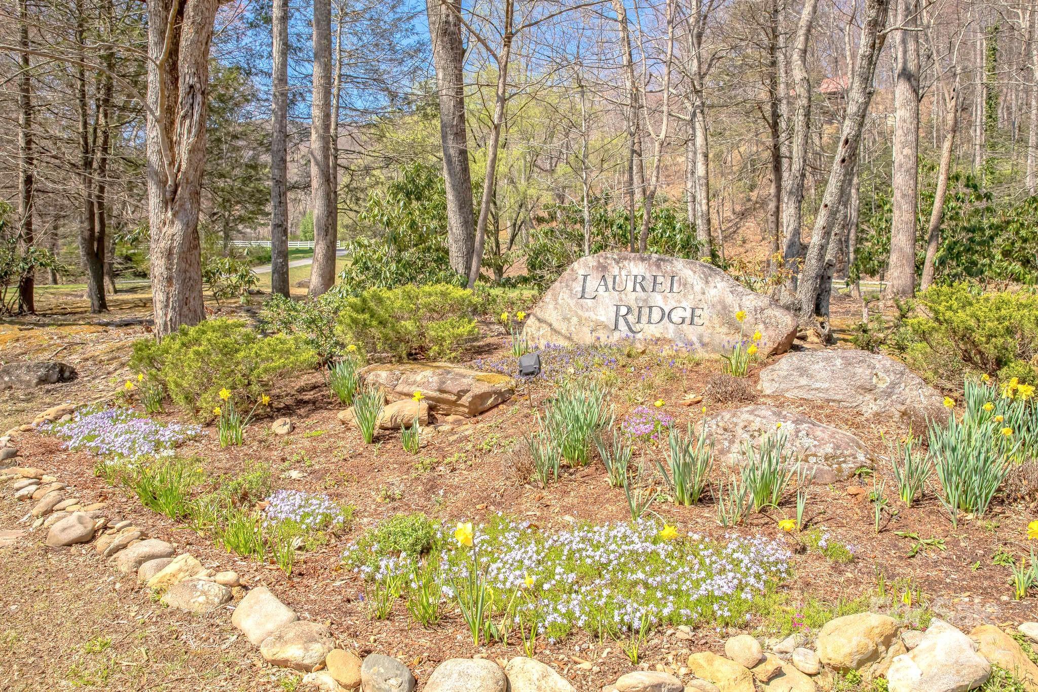 35 Great Aspen Way Black Mountain NC 28711