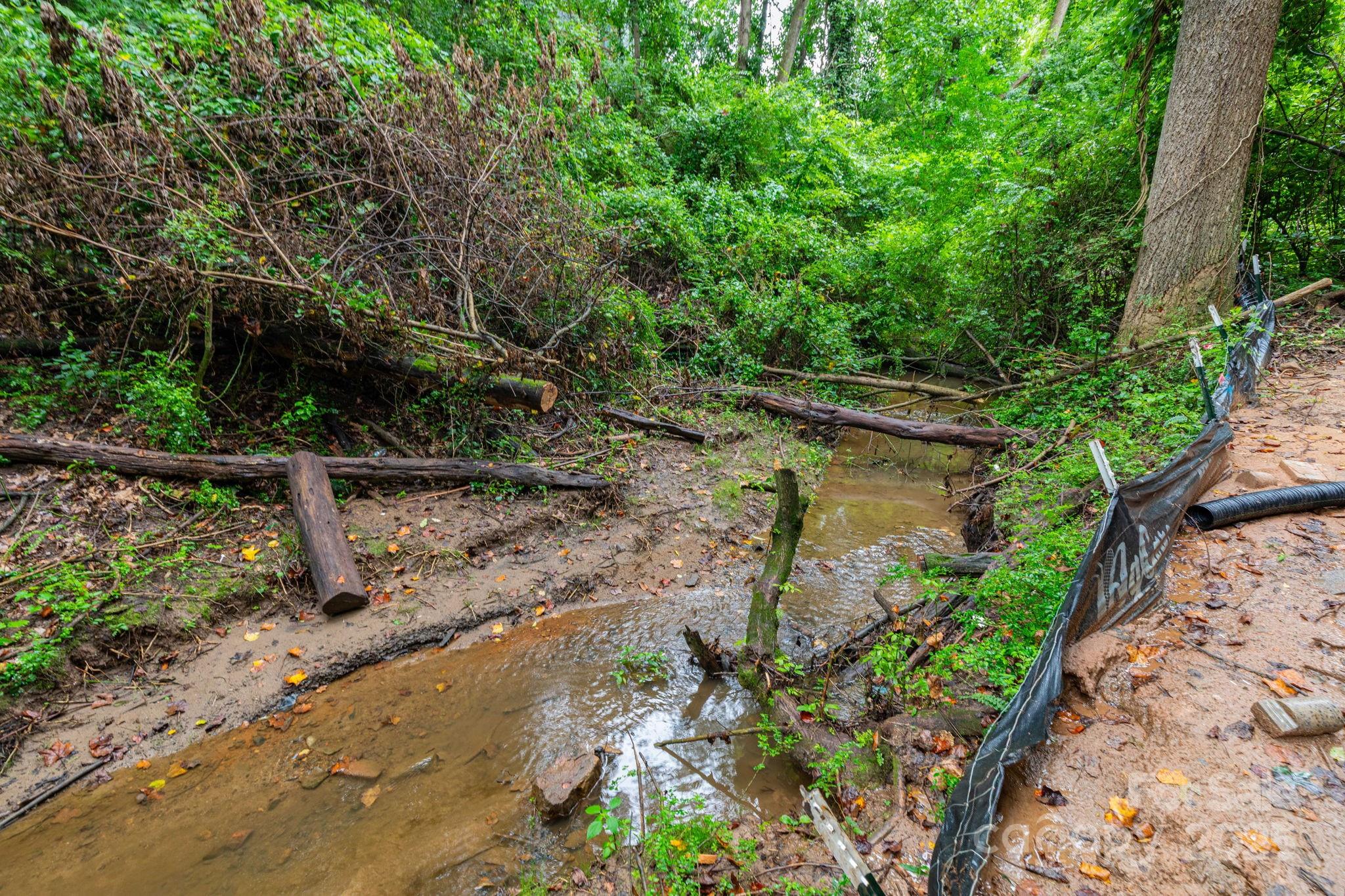 32 Waynesville Avenue Asheville NC 28806