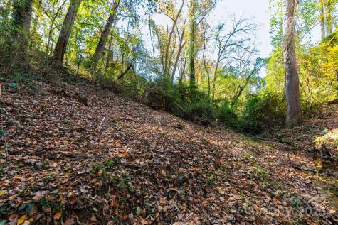 32 Waynesville Avenue Asheville NC 28806