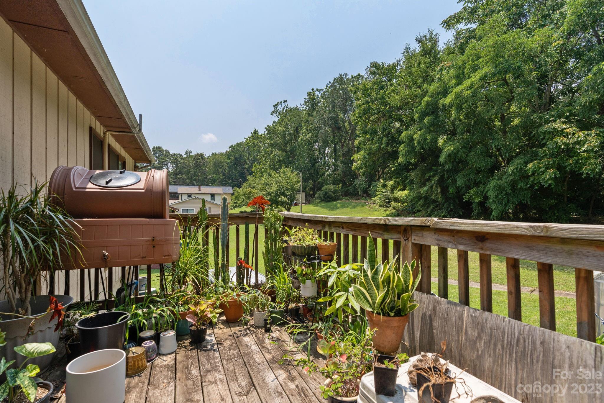141 S Grove Street Asheville NC 28801