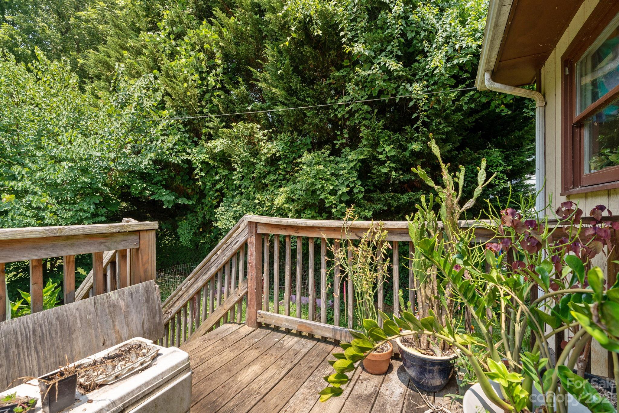 141 S Grove Street Asheville NC 28801