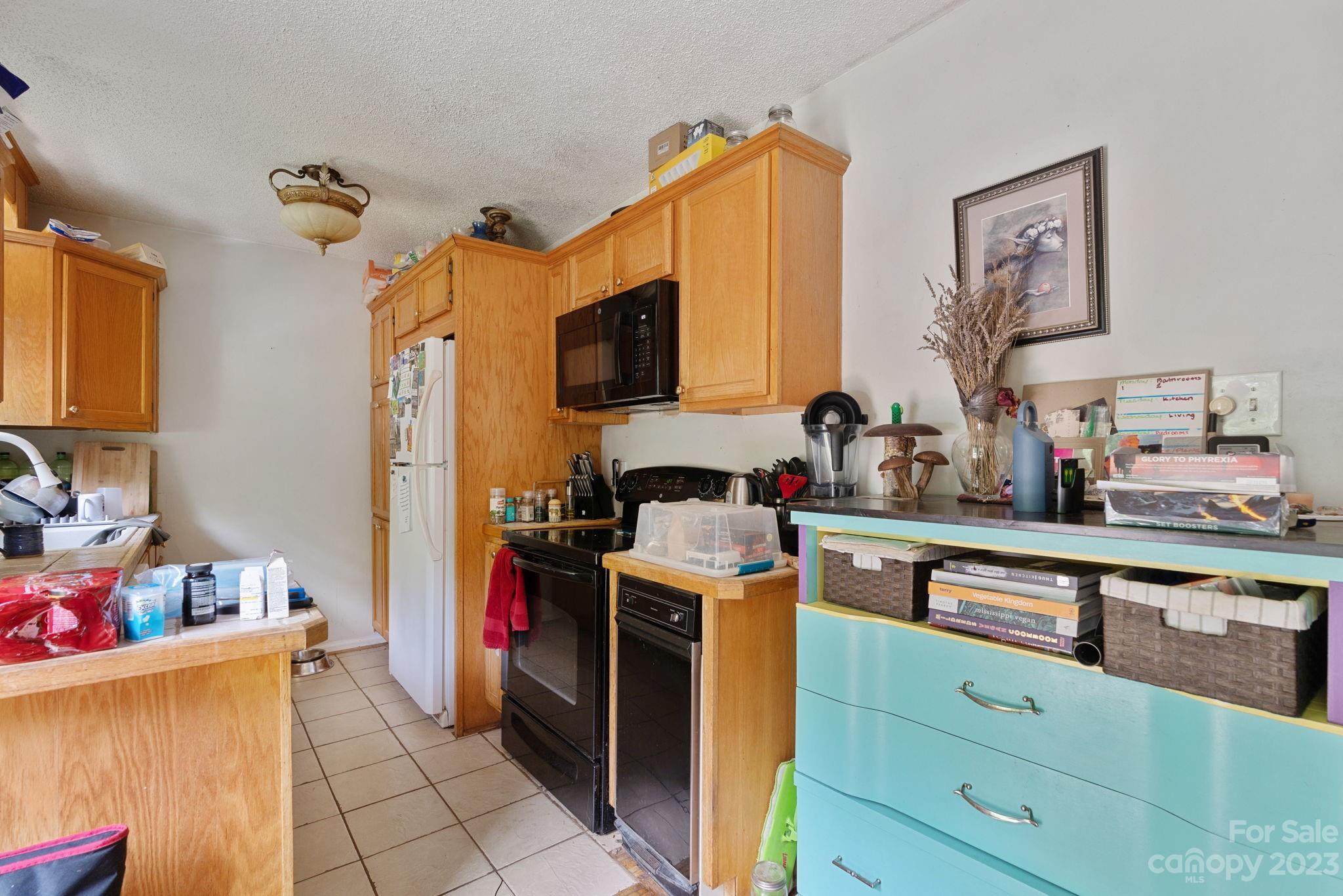 141 S Grove Street Asheville NC 28801