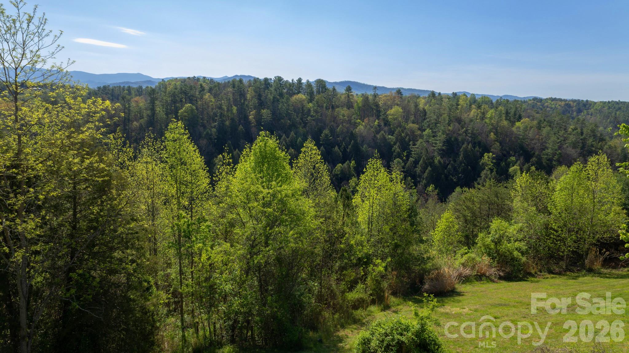 100 Bend View Drive Marshall NC 28753
