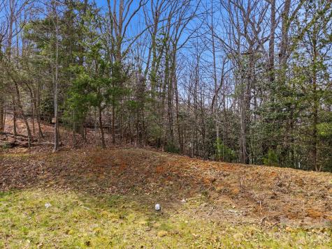 2 Lifestyle Court Arden NC 28704