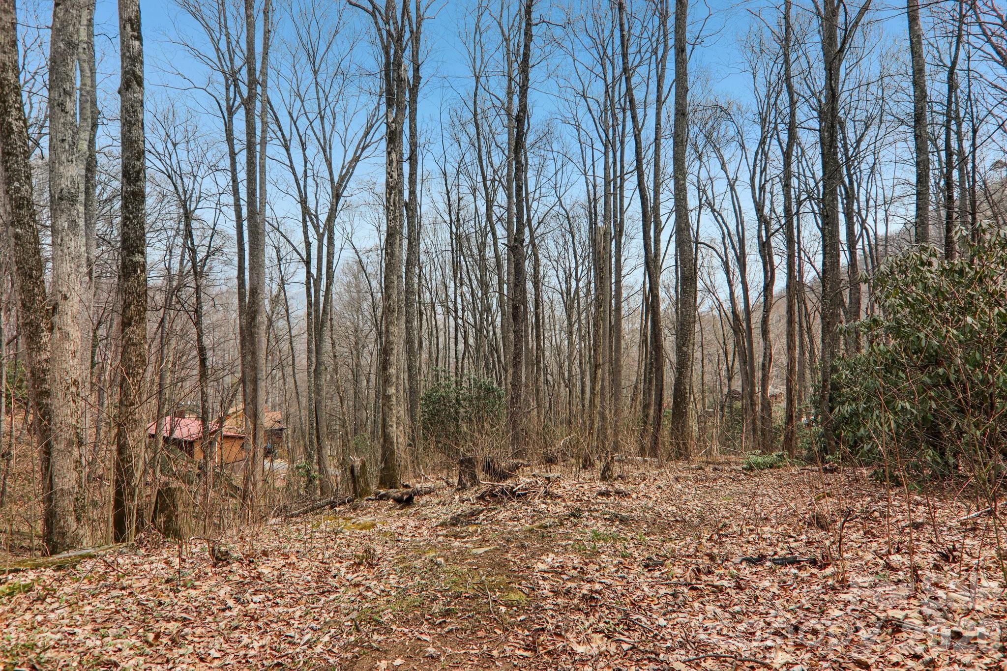 33 Fernbrook Road Maggie Valley NC 28751