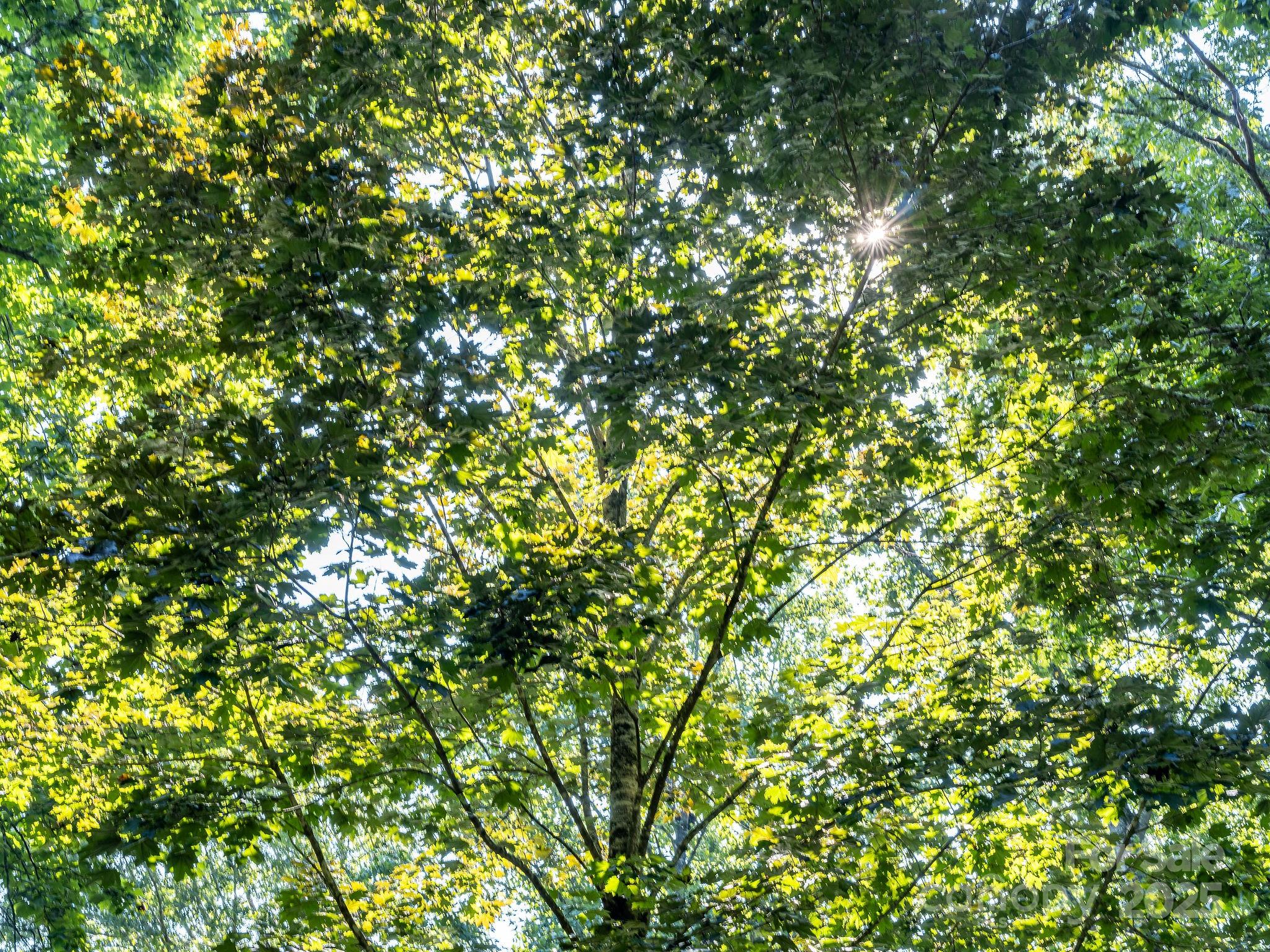 87 Crows Nest Road Hendersonville NC 28791