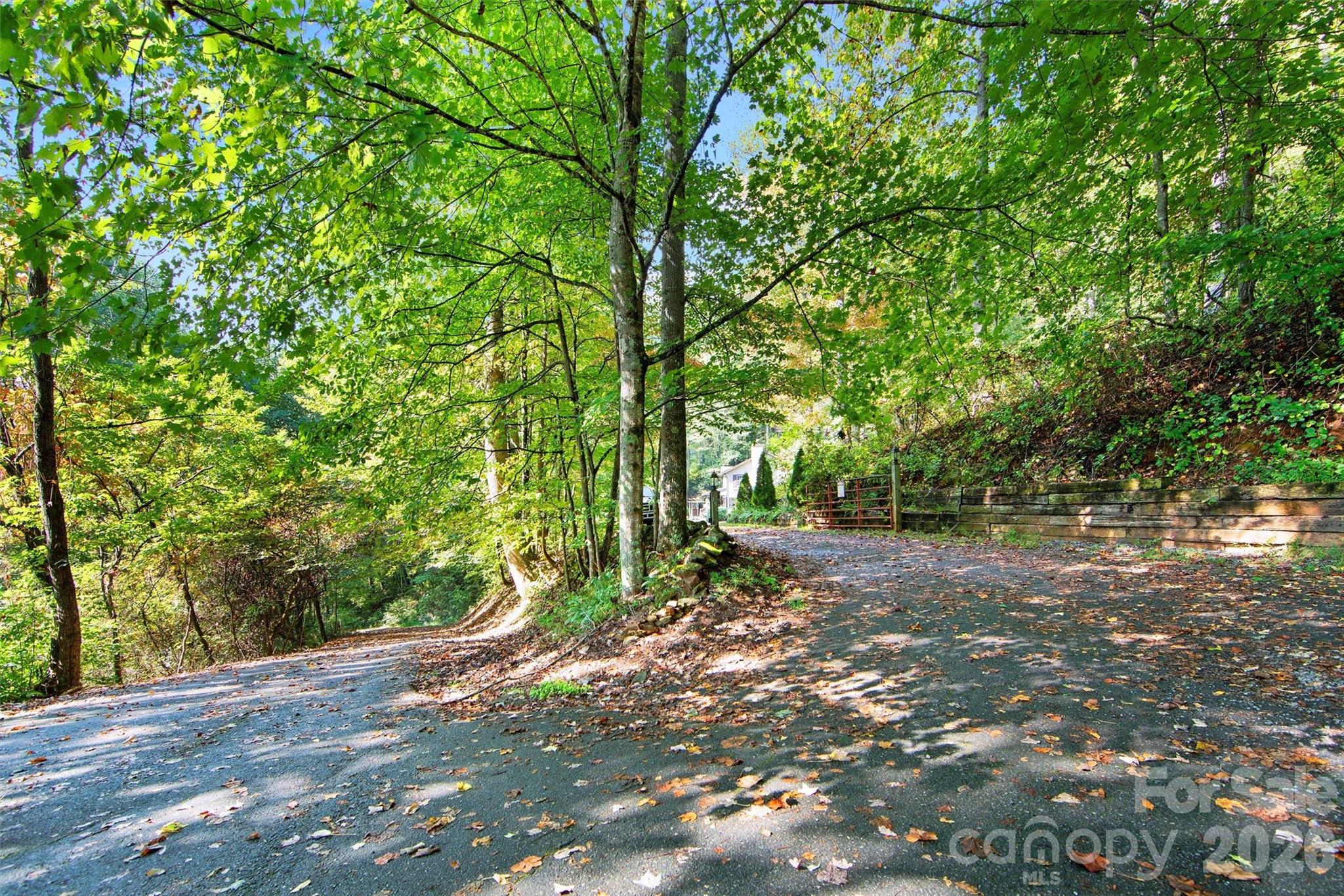 150 Sorghum Drive Waynesville NC 28785