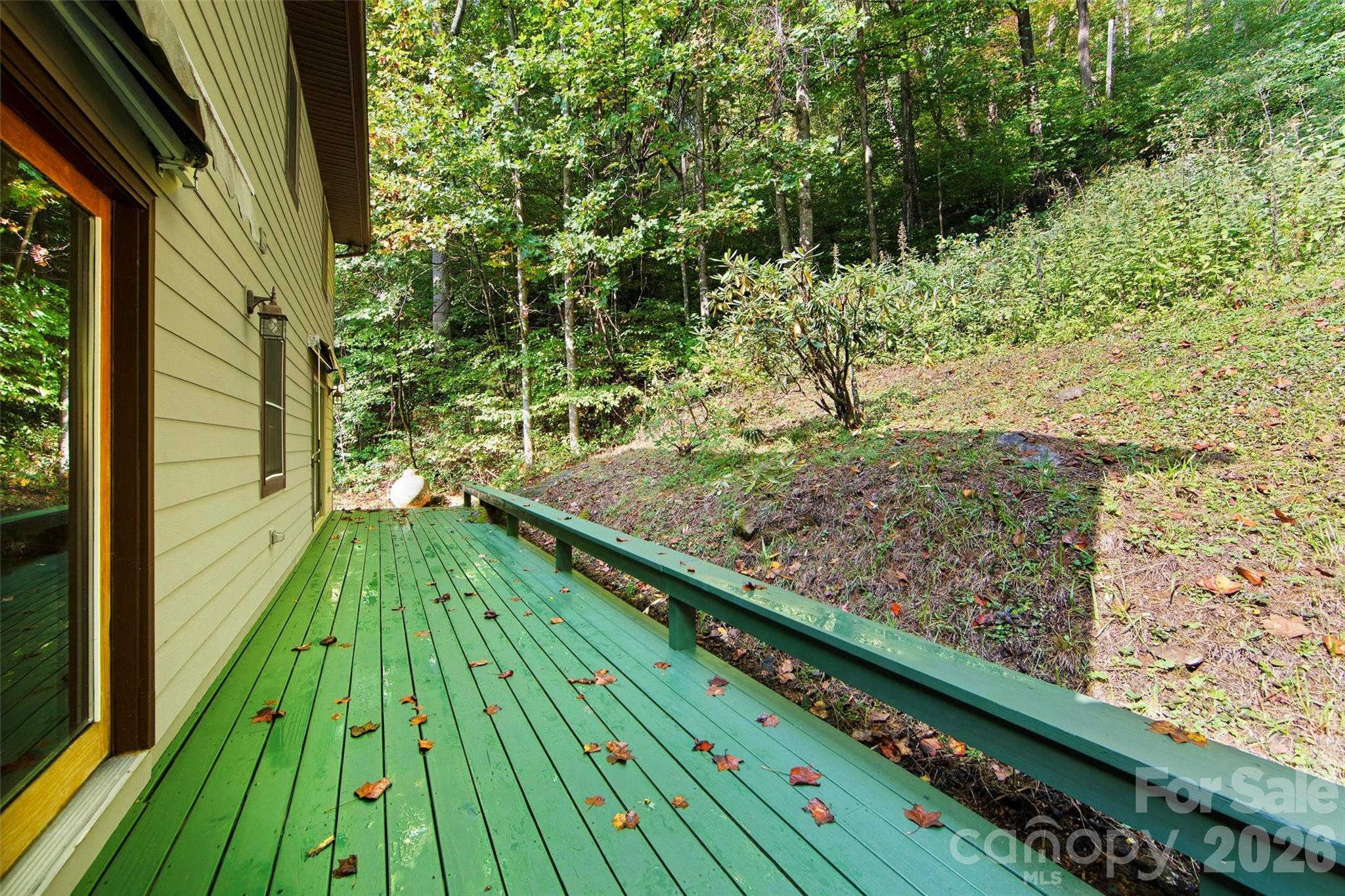 150 Sorghum Drive Waynesville NC 28785