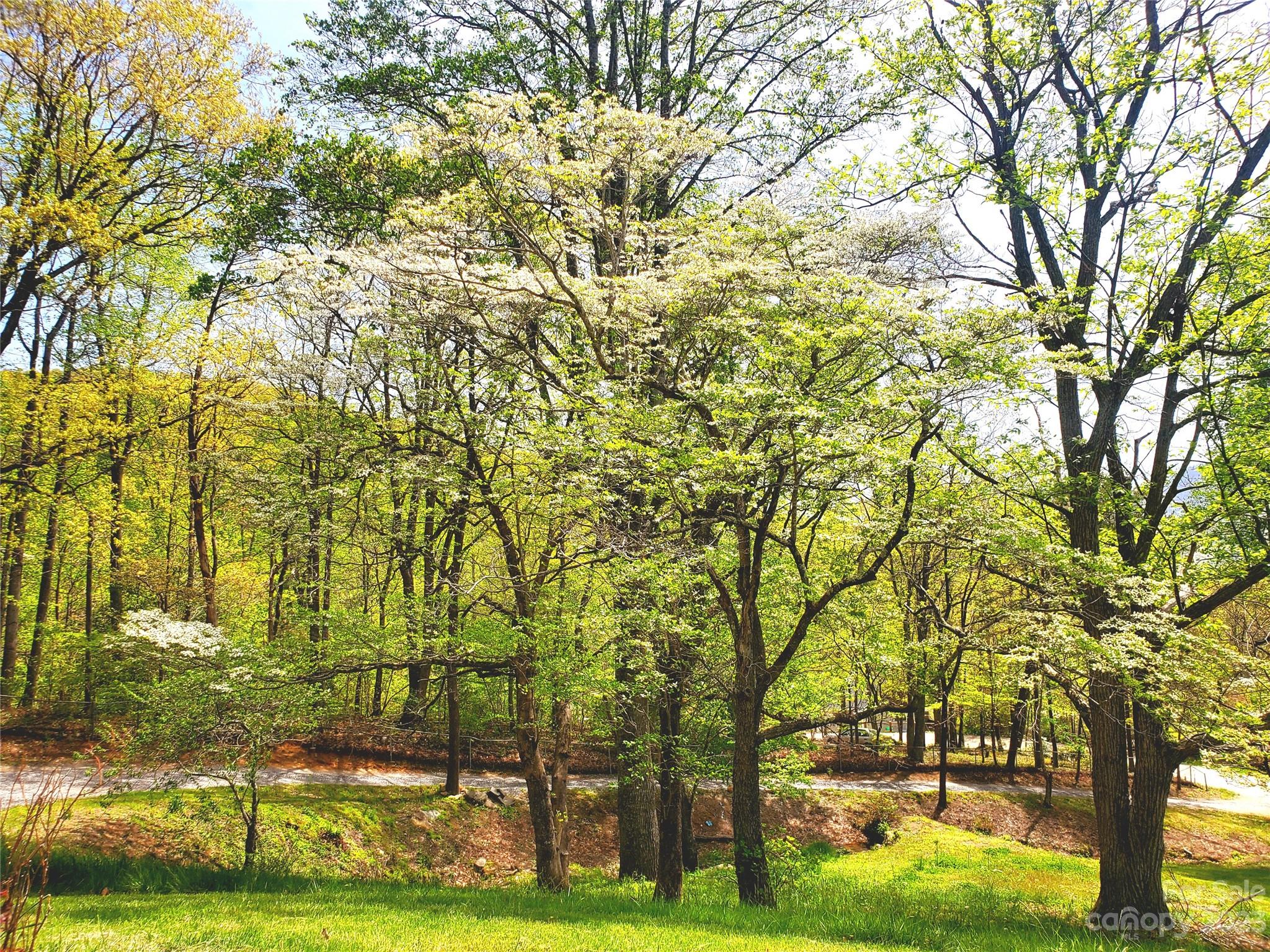 144 Dryid Hill Road Swannanoa NC 28778