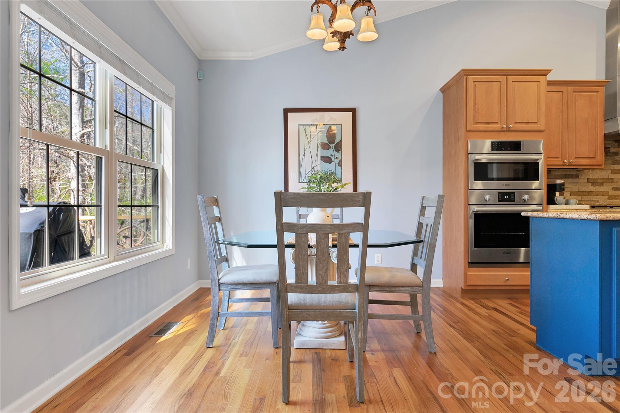 180 Notlvsi Court Brevard NC 28712