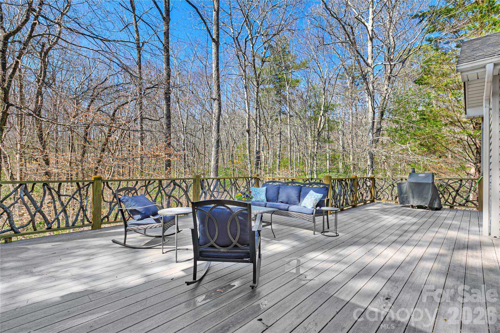 180 Notlvsi Court Brevard NC 28712